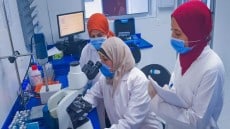 الزراعة: تعلن حصول معمل تشخيص وعلاج امراض الأسماك على الايزو