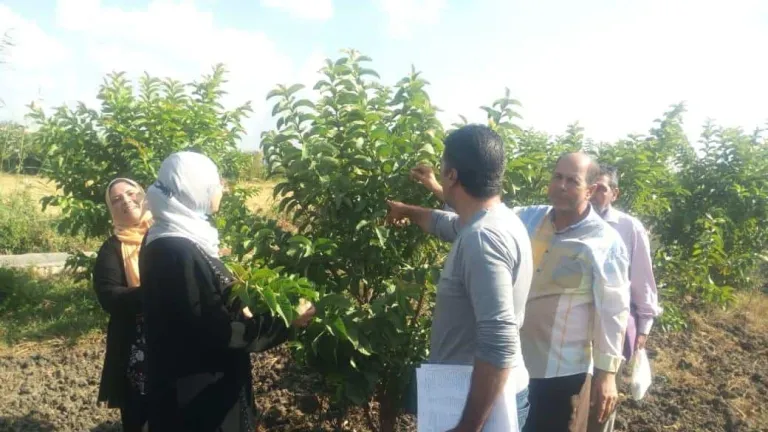 تزامنا مع قمة المناخ .. الزراعة: اهداء 485 ألف شجرة للمحافظات