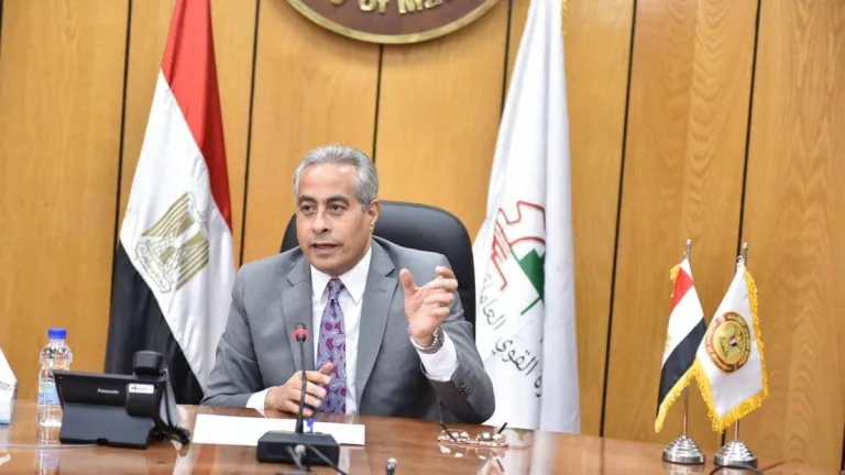 القوى العاملة: خارطة طريق نحو رقمنة برنامج تشغيل ورعاية العمالة غير المنتظمة