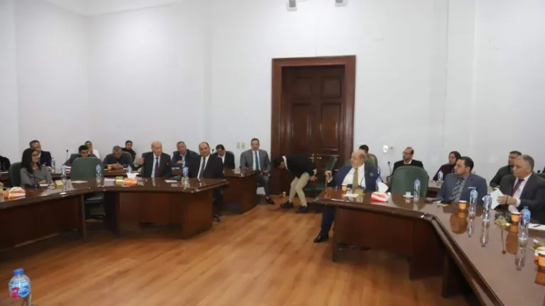 الزراعة: إطلاق الخدمة التجريبية "تابع مزرعتك" لمساعدة مزارعي ومستثمري ومصدري البطاطس داخل المناطق الخالية