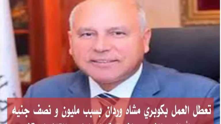 صدق أو لا تصدق: 1.5مليون جنيه من وزارة النقل تنقذ كوبري مشاة وردان