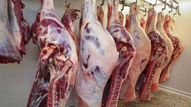 تعرف على اسعار اللحوم .. قبل عيد الاضحى