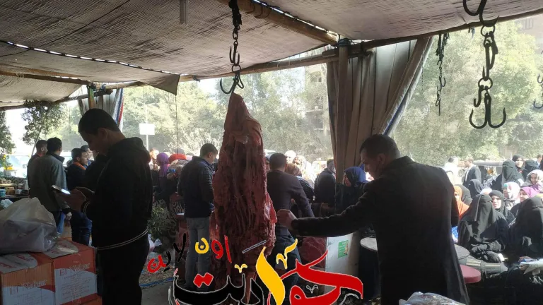 جلاب الخير .. يحطم الاسعار ويضع الجزارين وتجار السلع التموينية فى مأزق