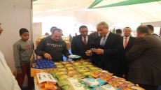 القوى العاملة تعلن عن خطتها لتدريب الشباب في 27 مصنعاً بالمجمع الصناعي