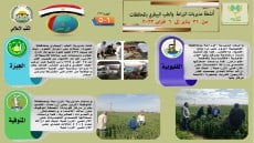 تعرف على أنشطة وجهود مديريات الزراعة والطب البيطري خلال هذه الفترة