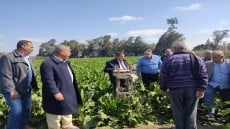 من أجل الزراعات الشتوية وحصر مساحات القمح .. الزراعة تتبع هذه الخطوات