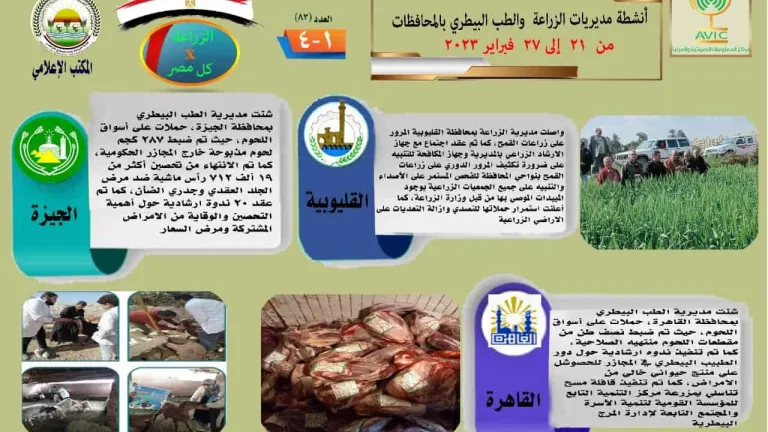انفوجراف وفيديو| الزراعة في كل مصر .. تعرف على أنشطة وجهود مديريات الزراعة والطب البيطري