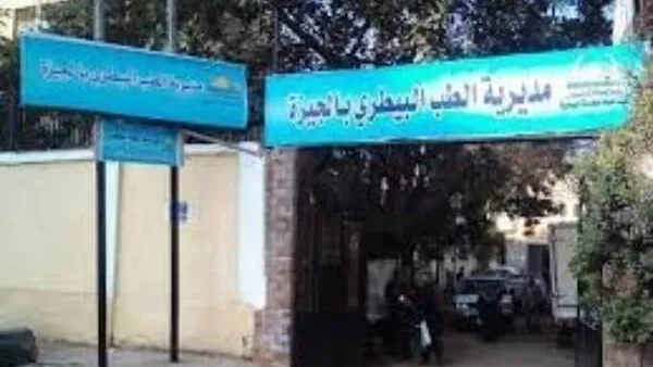 الطب البيطرى يستجيب لـ "حواديت اون لاين" .. للقضاء على الكلاب الضالة فى الحوامدية .. الموقع يرفض الاسلوب