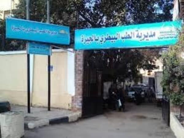 الطب البيطرى يستجيب لـ “حواديت اون لاين” .. للقضاء على الكلاب الضالة فى الحوامدية .. الموقع يرفض الاسلوب