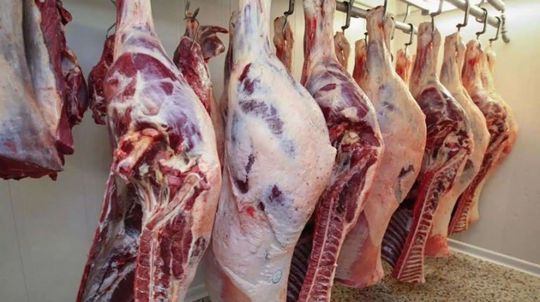 تعرف على اسعار اللحوم .. قبل عيد الاضحى