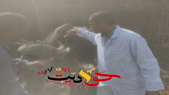 محافظ الجيزة يعلن انطلاق الحملة القومية لحماية الثروة الحيوانية بمراكز وقري المحافظة