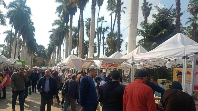 الزراعة: معرض "خير مزارعنا لأهالينا" يشهد إقبالا كبيرا من المواطنين بحديقة الاورمان بالجيزة