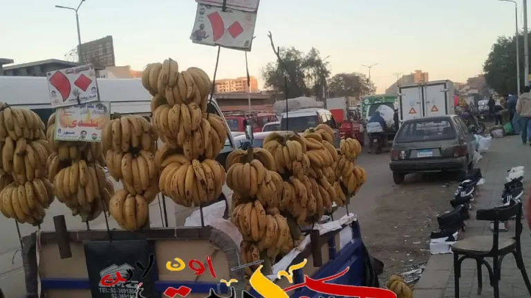 عاجل .. لرئيس حى جنوب الجيزة .. هل يرضيك هذا فوضى بميدان المنيب .. نحن لسنا مع قطع الارزاق لكن نريد التخطيط والتنظيم الجيد