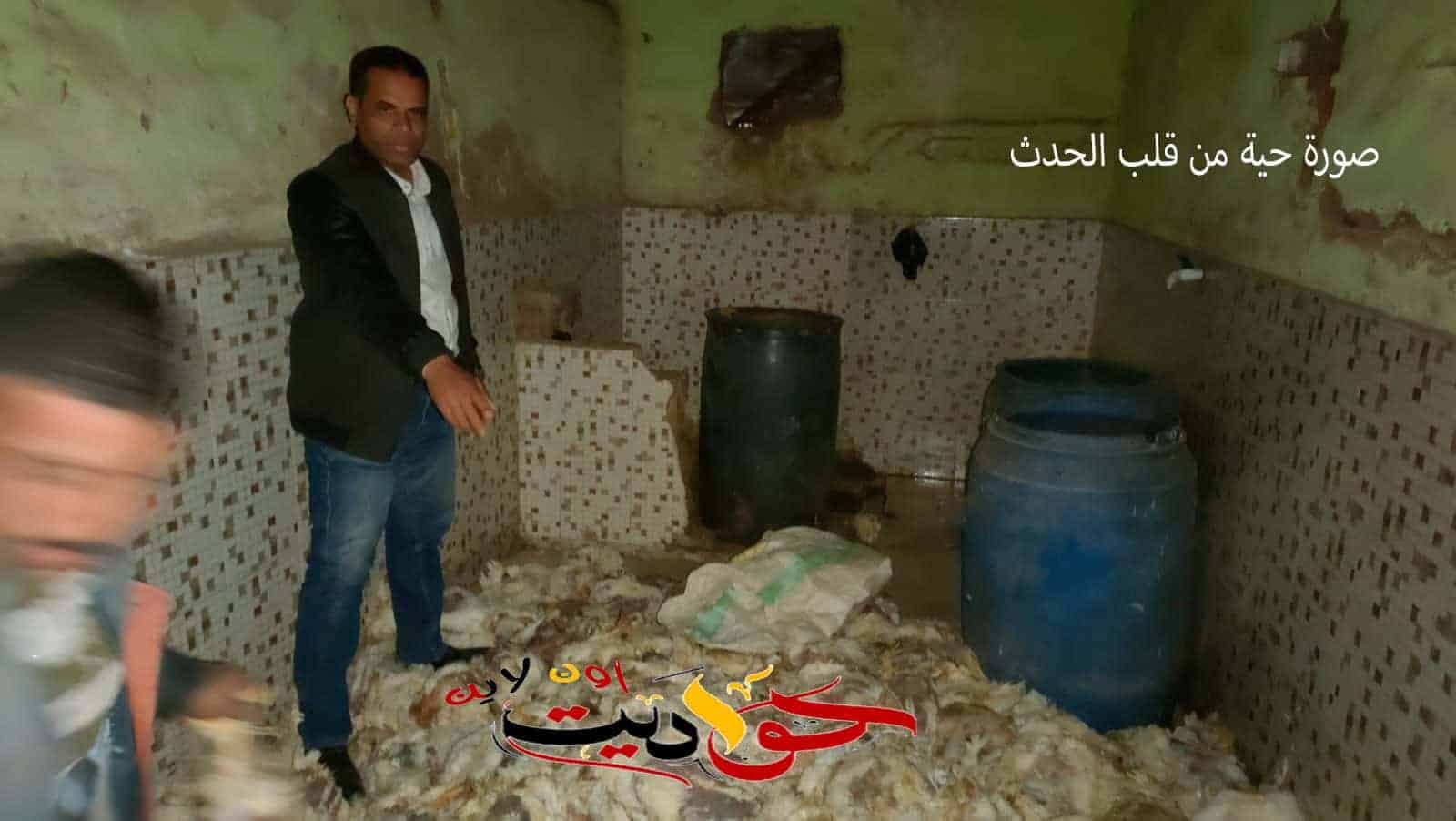 تجار الموت لا يخافون الله .. ضبط ما يقرب من طن ونصف دواجن نافقه يتم تجميعها داخل مخزن بإحدى قرى البدرشين لإعادة طرحها بالاسواق