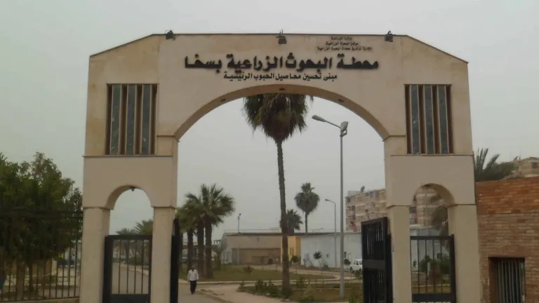 الزراعة تختتم الحملة القومية ضد مرض الطاعون بتحصين أكثر من مليون رأس من الاغنام والماعز