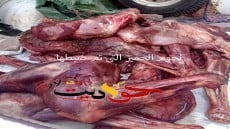 ضبط ما يقرب من 4.15 طن لحوم حمير ودواجن فاسدة غير صالحه للاستخدام الادمي بهذه المناطق فى الجيزة