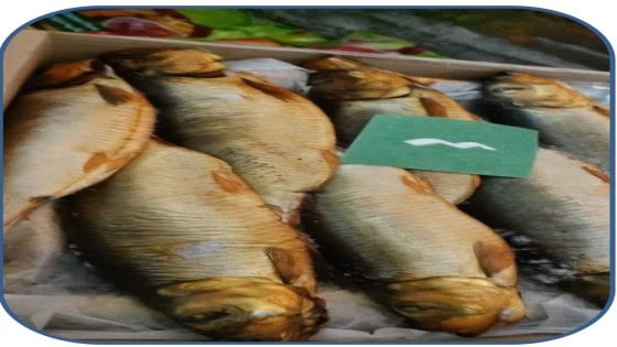 محافظة الجيزة: ضبط ٨٣٠ كجم اسماك مملحه ومدخنة فاسدة وغير صالحة للاستهلاك الادمي بهذا الحى