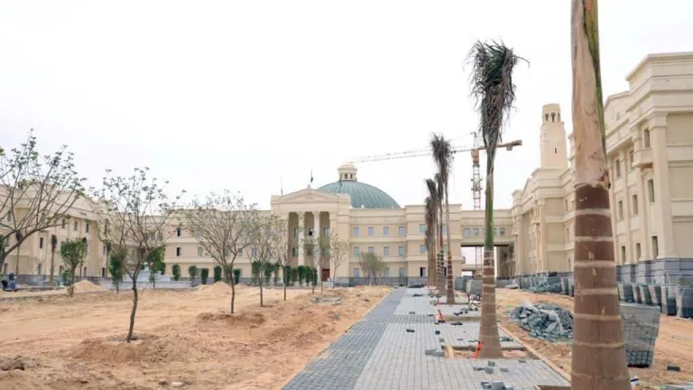 جامعة القاهرة الدولية تنظم مسابقة لطلابها فى هذه المجالات