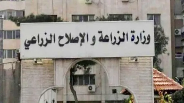 حملة زراعية مكثفة لإنقاذ المحاصيل الشتوية من التقلبات المناخية