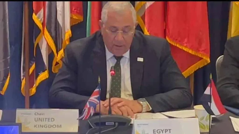 وزير الزراعية يعلن فتح الأسواق البرازيلية أمام البطاطس المصرية