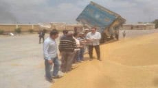 الزراعة تتفقد محطة الغربلة بالصالحية الجديدة