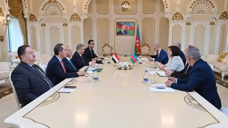 الجبالي يلتقي  رئيسة برلمان أذربيجان .. هذا اهم ما جاء فى اللقاء