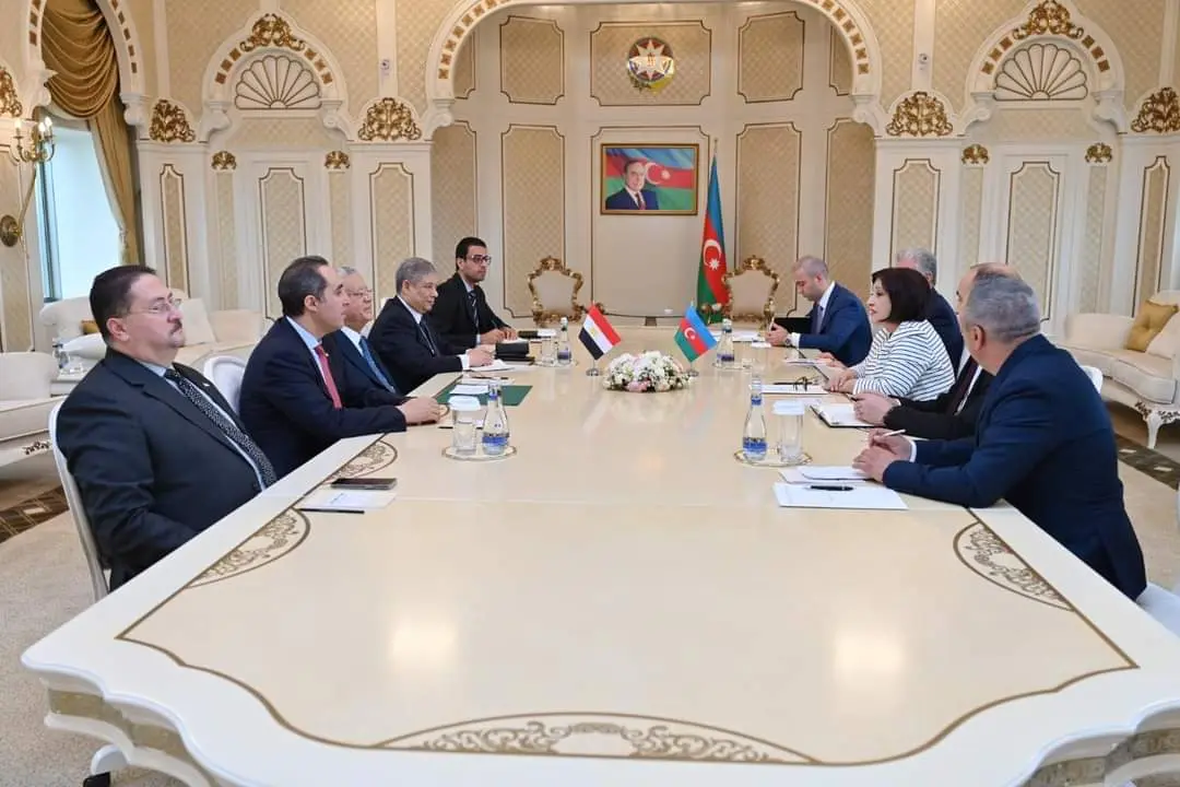 الجبالي يلتقي رئيسة برلمان أذربيجان .. هذا اهم ما جاء فى اللقاء