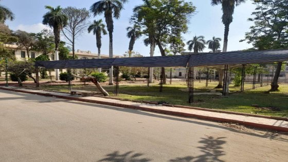 الزراعة : انطلاق معرض زهور الربيع في المتحف الزراعي فى هذا الموعد