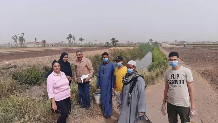 الزراعة: المركزية للمكافحة تبدأ حملة ما بعد الحصاد لوقاية الأرض من القوارض