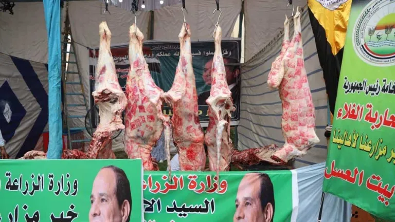 بأسعار لا تقارن .. الزراعة : معرض "خير مزارعنا لأهالينا" في المتحف الزارعي يوفر هذه السلع الغذائية