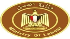 وزارة العمل :٥٠ فرصة عمل لذوى الهمم .. ١٩ للشباب بشركات عالمية بالقاهرة