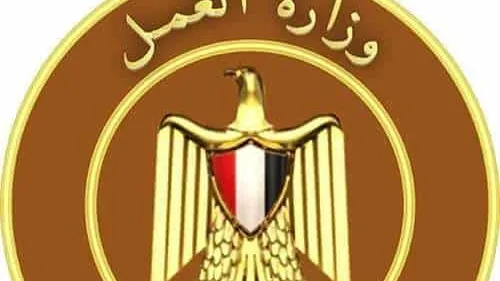 وزارة العمل :٥٠ فرصة عمل لذوى الهمم .. ١٩ للشباب بشركات عالمية بالقاهرة