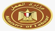 وزارة العمل : 1700 فرصة عمل للشباب بمشروع الضبعة