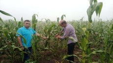 هذا ما فعلته الزراعة خلال إجازة العام الهجرى وثورة يوليو