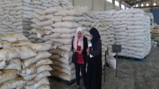 الزراعة: تكثف حملات التفتيش على صناعة وتداول الأعلاف