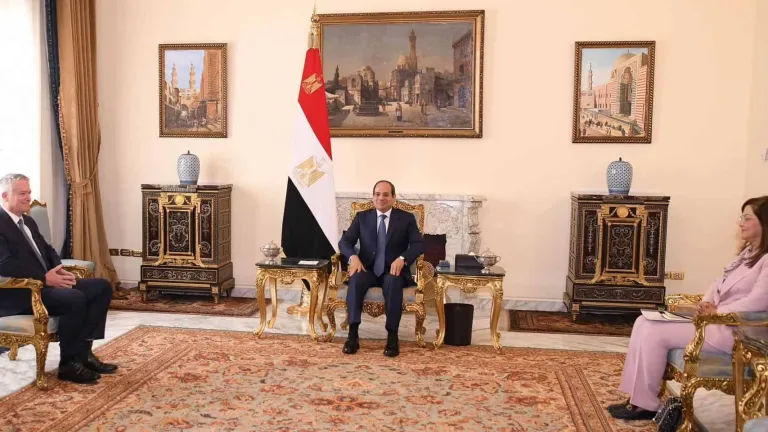 للتعاون فى هذه المجالات .. الرئيس السيسى يستقبل سكرتير عام منظمة التعاون الاقتصادي والتنمية
