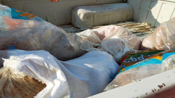 الجيزة: ضبط 9.5 طن لحوم مستوردة ودواجن غير صالحة للاستهلاك الادمي بهذه الامكان على رأسهم ابو النمرس