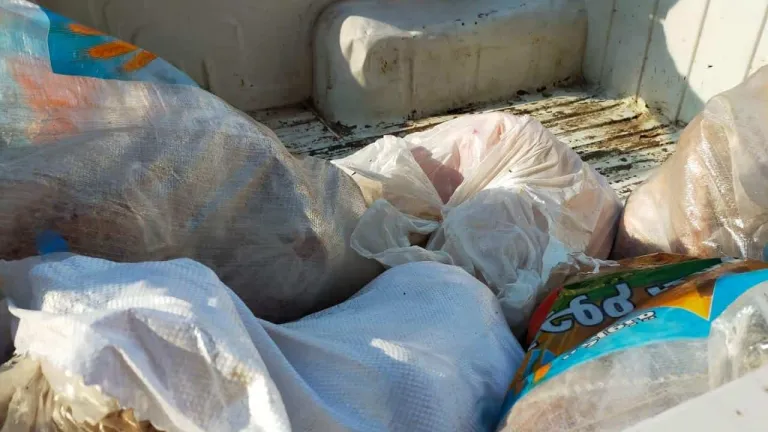الجيزة: ضبط 9.5 طن لحوم مستوردة ودواجن غير صالحة للاستهلاك الادمي بهذه الامكان على رأسهم ابو النمرس