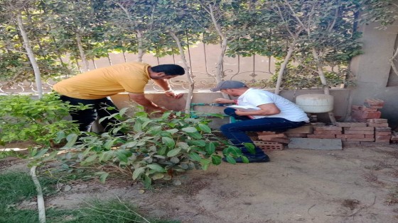 مياه الشرب بالجيزة تواصل رصد الوصلات الخلسة بكافة مناطق المحافظة على رأسها أبو النمرس والحوامدية والبدرشين