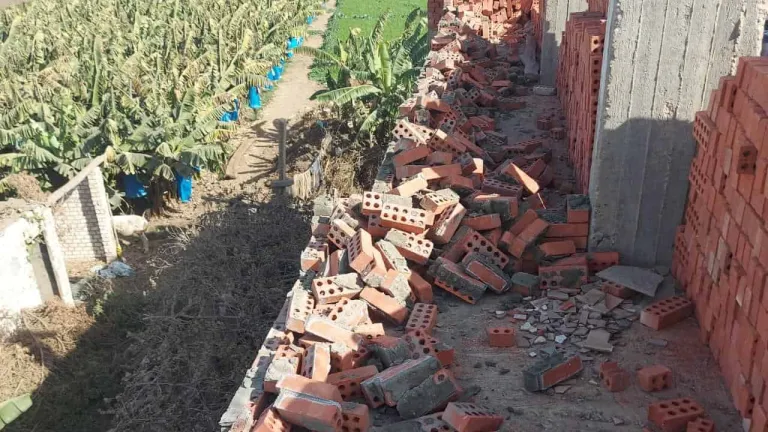 محافظة الجيزة تزيل ٣٠ حاله تعدى بالبناء المخالف على الأراضي الزراعية واملاك الدولة بهذه المراكز على رأسهم البدرشين