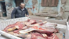 ضبط ٣.٥ طن لحوم ودواجن ومصنعاتهم فاسدة وغير صالحة للاستهلاك الادمي .. بهذه الاماكن فى محافظة الجيزة