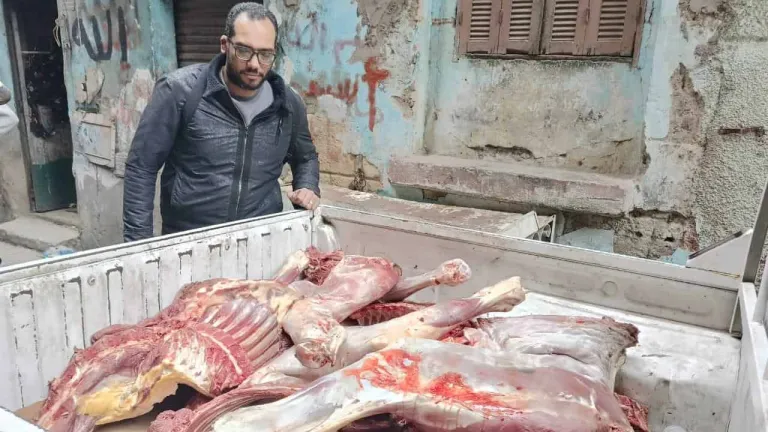 ضبط ٣.٥ طن لحوم ودواجن ومصنعاتهم فاسدة وغير صالحة للاستهلاك الادمي .. بهذه الاماكن فى محافظة الجيزة