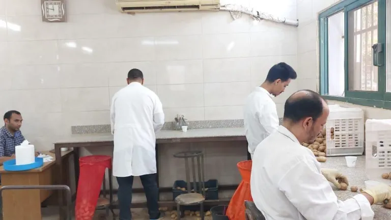القصير والزملوط يتابعان جهود استصلاح الأراضي والحصر التصنيفي في محافظة الوادى الجديد