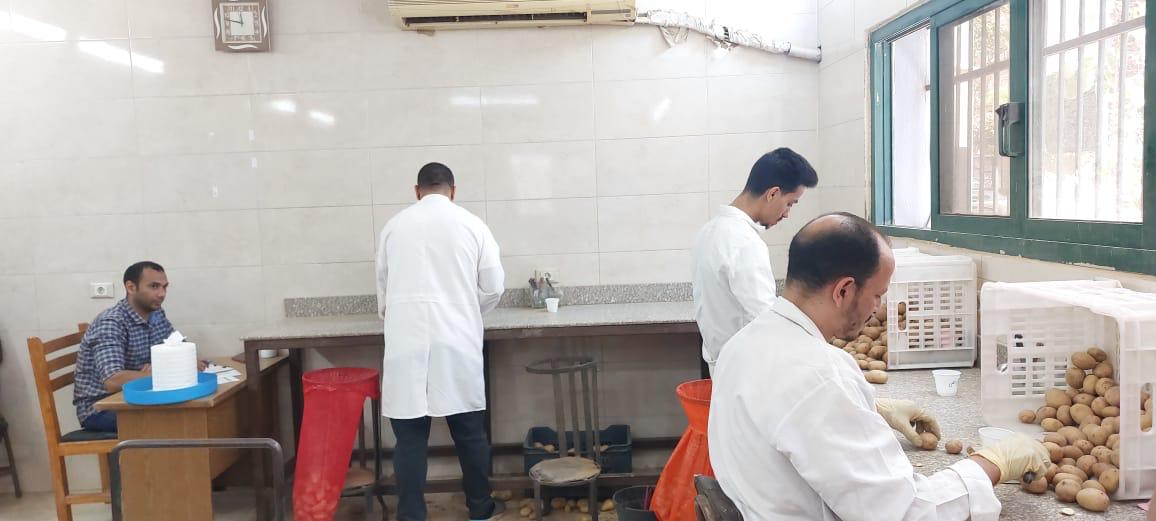 القصير والزملوط يتابعان جهود استصلاح الأراضي والحصر التصنيفي في محافظة الوادى الجديد