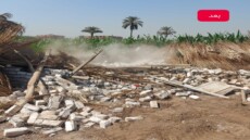 محافظة الجيزة: تنفيذ ١١١ حالة إزالة لتعديات على أراضى زراعية بهذه المراكز