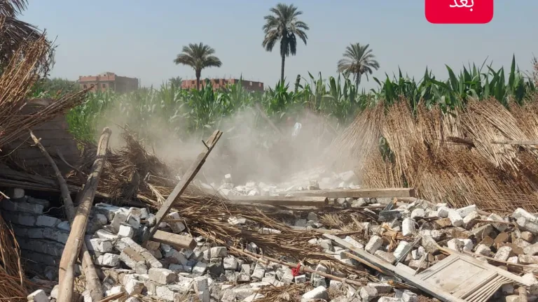 محافظة الجيزة: تنفيذ ١١١ حالة إزالة لتعديات على أراضى زراعية بهذه المراكز