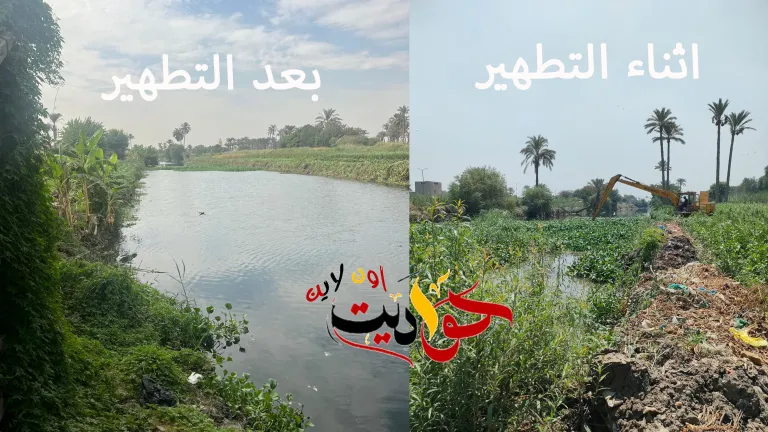 استجابة لـ "حواديت اون لاين" تطهير ترعة الجيزاوية في الحوامدية | فيديو