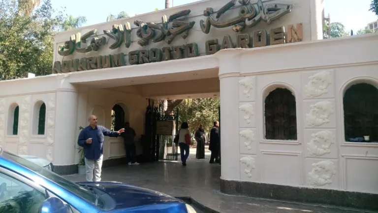 لرعاية وتغذية سلالات دجاج اللحم انتاج بيض المائدة .. هذا ما فعله بحوث الإنتاج الحيواني