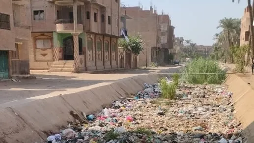 أهالى أبو لاشين بمدينة الحوامدية لـ "محافظ الجيزة ووكيل وزارة الرى" .. انقذوا أولادنا من الموت المحقق .. مدرسة احمد هلال تأن .. القمامة والحيوانات النافقة تغطى الترعة والمسئولون نائمون .. ندق ناقوس الخطر قبل سقوط التلاميذ بها .. هل يتدخل النجار لحل المشكلة ؟