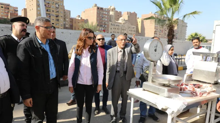 لغز المتابعة المستمرة: كيف يساهم محافظ الجيزة في توفير السلع للمواطنين؟